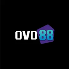 OVO88 - Pertempuran Pesawat Terbang yang Memukau